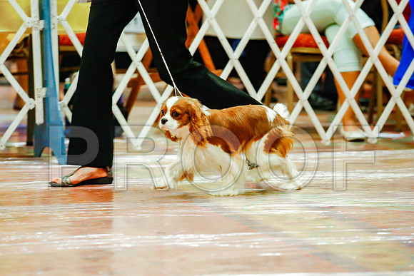 _JJ_8818-SanMarcosAug2016-HR3