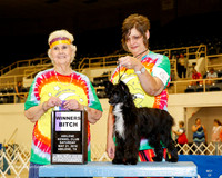 Chinese Crested #6 Sat WB Lopez Terry Judge Ann Hearn