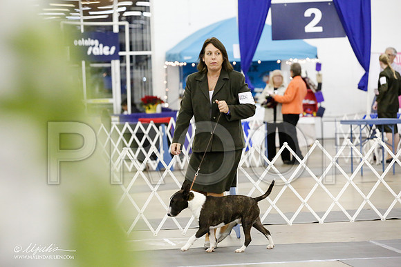 _JN_4021-DallasDec14-HR3