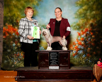 Chinese Crested #10 Sun OH G2 Lackey Cindy Judge Ruth Ronrback