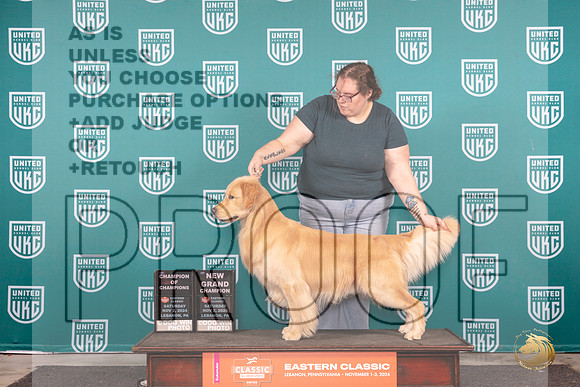 Golden Retriever # Sat COCGCH Judge William Chrazanowski__JP_2086_UKCEastern_2024_HR3