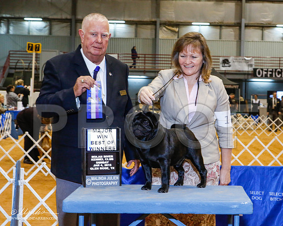 _MJ_5277-2-GlenRoseJan2015-HR3