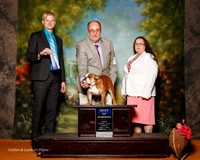 Bulldog #10 Sun BOW Freeman Rick and Tracy Freeman Judge Troy Dargin