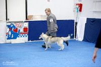 Puppy Dog 9-12 Sat Ring
