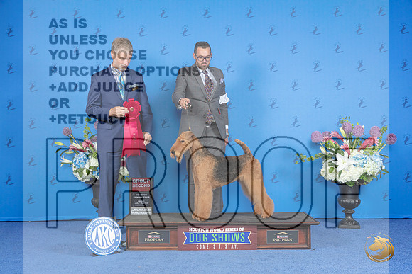 Airedale Terrier #6 FRI G2 Judge Ronald Freeman__JP_9467_Houston_2024_HR3