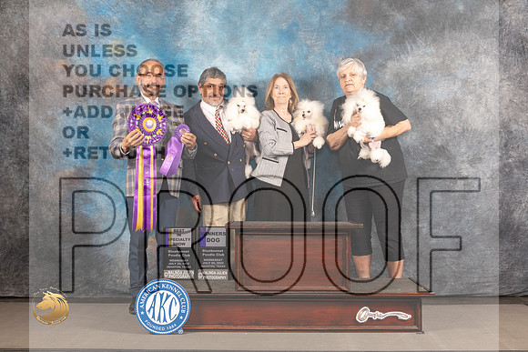 Poodle Toy #2 WED WD Judge Timothy Catterson_MJ_2515_Houston_2022_HR3