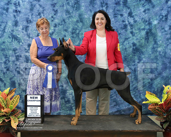 Dobe-6477