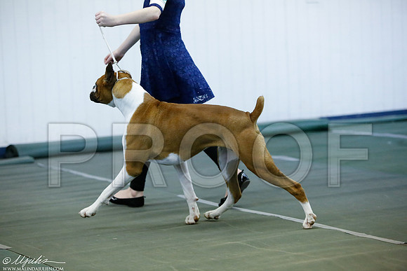 _MJ_3928-DentonMar2015-HR3