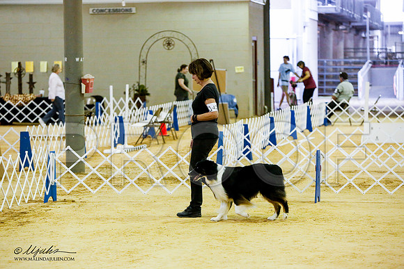 _JN_7911-ASCACollegeStationNov2014-HR3