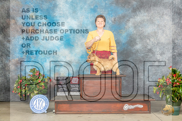Norwich Terrier #7 Thu WDBOWOHBOBm Judge Nikki RiggsbeeMJP_7007_SA2023_HR3