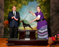 Miniature Pinscher #8 Sat NC BOS Spiva Joan P Judge Dana Cline