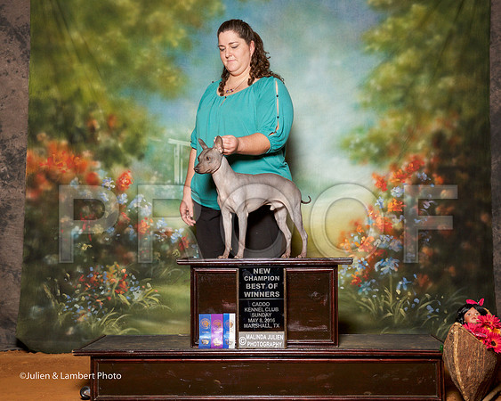_ST_4316-MrshllMay2016-HR3