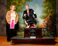 Tibetan Spaniel #5 sat OH G1 Bouget Dana Judge Theresa Sanders Milan