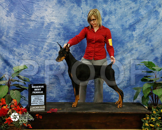 dobe-6461-HtoJan14-HR