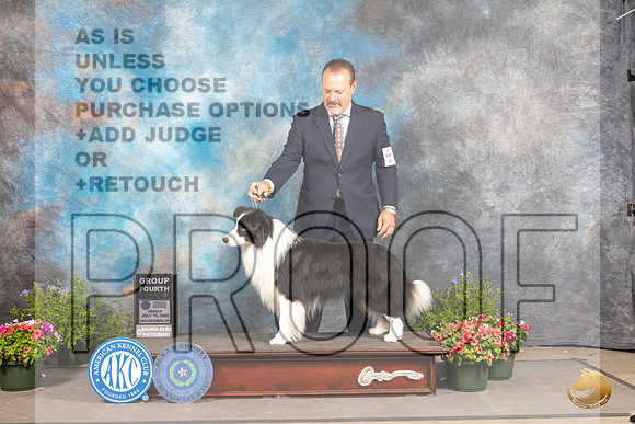 Border Collie #5 Fri G4 Judge Allen Odom_MJ_0078_SA_2022_HR3