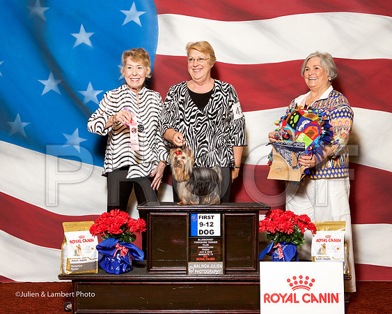 _ST_6424-YorkieNatJul2016-HR