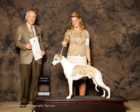 Whippet #5 Sat G4 Laws Bruce and Cynthia Laws and Lawrence and Wilson Judge Roger Hartinger