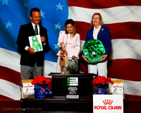 #32 Thurs Best BBE Kimberly Goldfarb Judge George Milutinovich