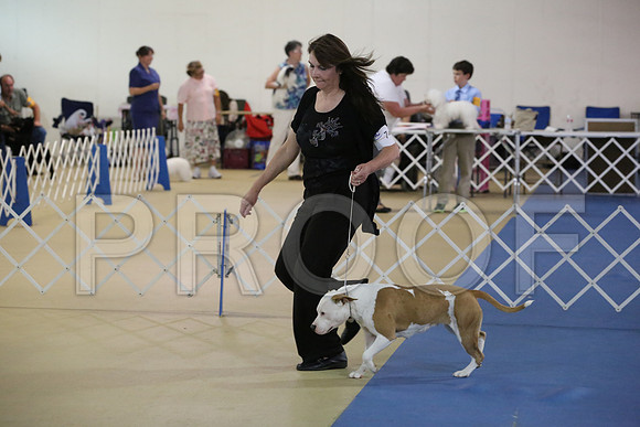 APBT-9951-HR