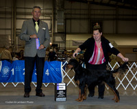 Gordon Setter #9 Sun WD Watkins Lee and Robert Schmidt Judge Bart Miller