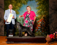 Kerry Blue Terrier #5 G3 Croley Lois and Charlene Dwyer Agent Odebt K Massey Judge Brian Meyer