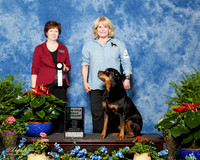 Rottweiler #R50 Fri NT Exc Schneider Patricia and Ross Judge Donna Eddins
