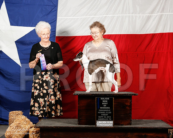 _ST_1495-2-AmarilloSep2014-HR3