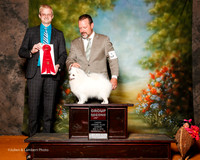 American Eskimo #10 Sun G2 Jester Carolyn E and Helen Dorrance Judge Troy Dargin