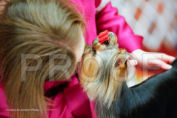 _JJ_8554-YorkieNatJul2016-HR