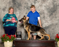 German Shepherd Dog #15 Sun Best Puppy Goswick Lynn Judge Carol Smith