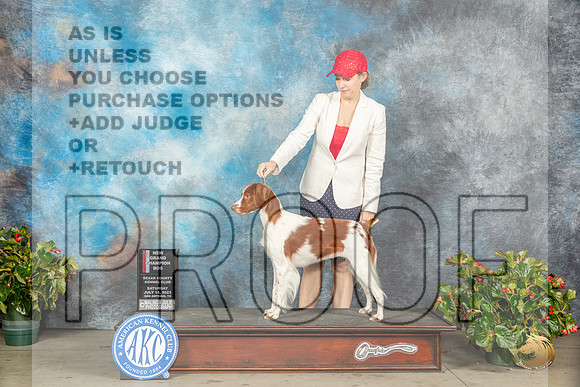 Brittany #6 Sat BOSGCH Judge Jay RichardsonMJP_9554_SA2023_HR3