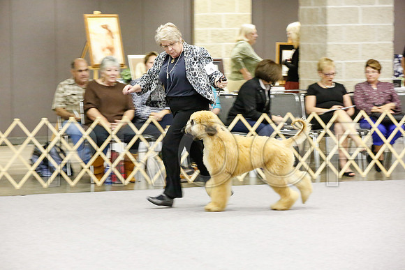 _JJ_8567-AfgBeltonOct2014-HR3