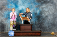 Basenji #8 Sat OHG1 Judge Ann Bolus