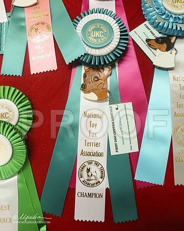 misc-4953-LklndFL2013