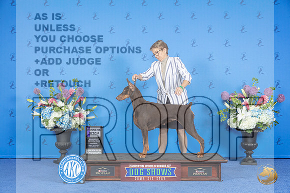 Doberman #42 SAT WB Judge Jon Cole__JP_9899_Houston_2024_HR3