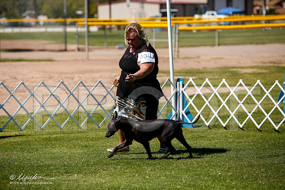 _JJ_8391-AlamogordoOct2014-HR3