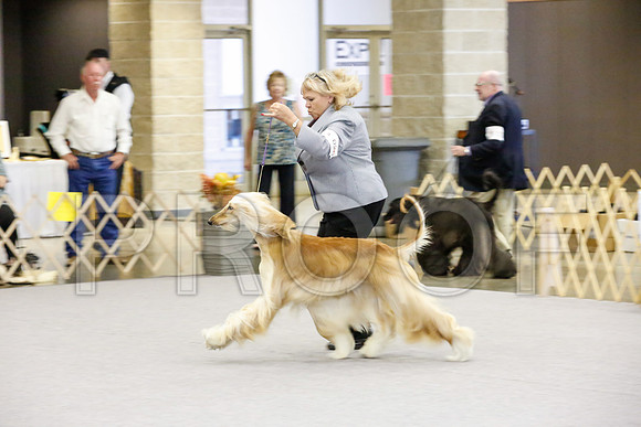 _JJ_2221-AfgBeltonOct2014-HR3