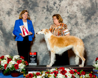 Borzois #32 Fri BOS Hlatky Prudence & Gregory Judge Mrs Sari Brewster Tietjen