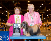 Lhasa Apsos #18 Wed BiSS Jarrett Linda Judge Mr Nancy Stephens