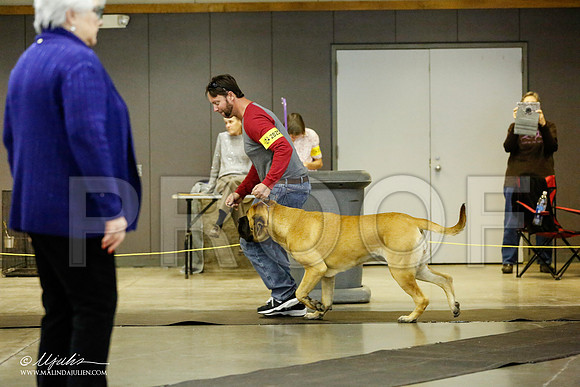 _RH_1704-BeltonJan2015IABCA-HR3