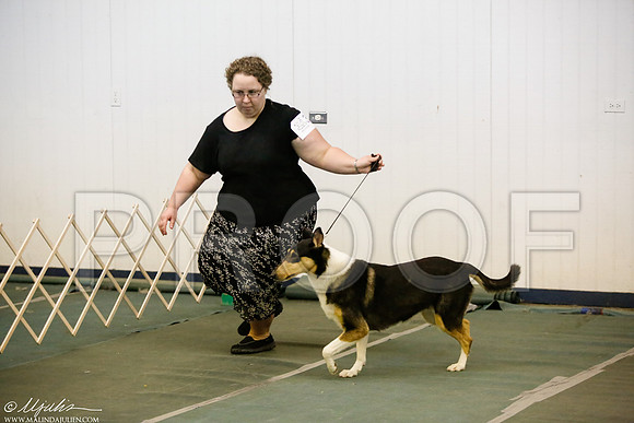 _MJ_5547-DentonMar2015-HR3
