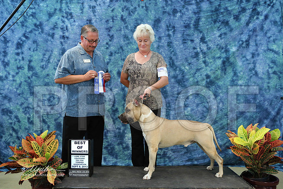 APBT-6439