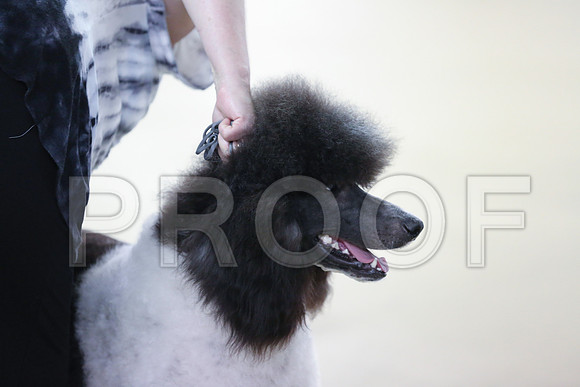 PoodStdMC-6143-HR300