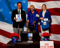 #11 Thurs 1st 6-9 Dog Donna Bird and Natalie Amies Judge George Milutinovich