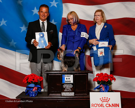 _ST_6219-2-YorkieNatJul2016-HR