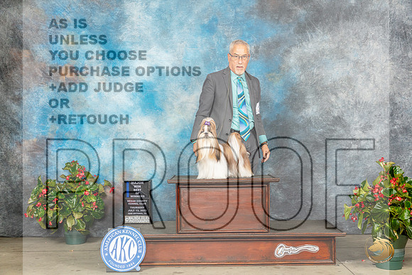 Shih Tzu #12 Thur BOWM Judge David J KirklandMJP_7086_SA2023_HR3
