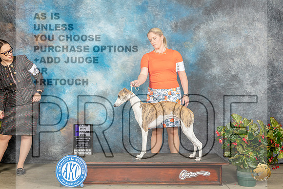 Whippet #17 Thur WD Judge Lee WhittierMJP_7603_SA2023_HR3