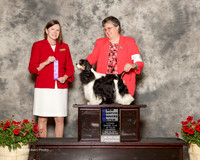 Cocker Spaniel #6 Sat WB Turner Hayes Julie Judge Kathleen Egeland Brock