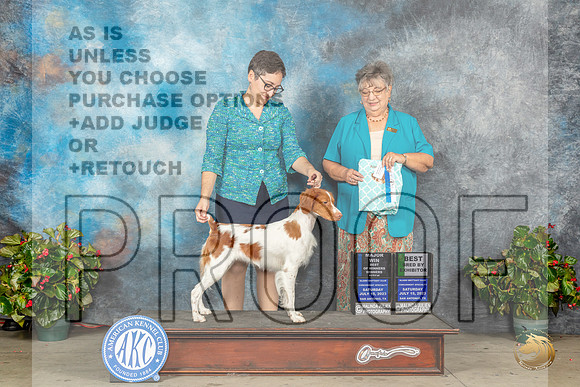 Brittany #16 Sat BOWMBBE Judge Marilyn PipesMJP_9069_SA2023_HR3