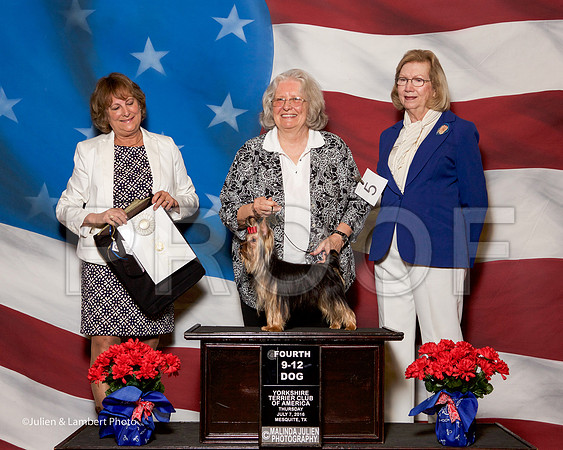 _ST_6160-YorkieNatJul2016-HR